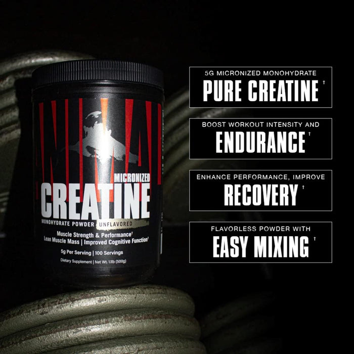 Creatine Powder, Unflavored (EAN 039442139641) - 500g