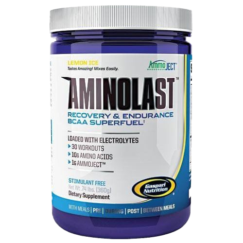 Ammo Ject AminoLast 420g Fruit Punch