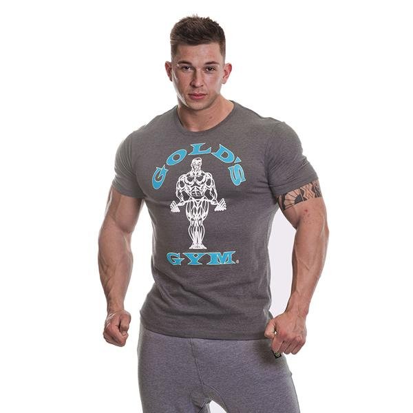 Golds Gym Muscle Joe T-Shirt - Grey/Turquoise - T-shirt at MySupplementShop by Gold's Gym