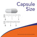NOW Foods Astragalus 500 mg 100 Capsules | Premium Supplements at MYSUPPLEMENTSHOP