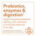 NOW Foods Probiotic-10 50 Billion 50 Veg Capsules | Premium Supplements at MYSUPPLEMENTSHOP